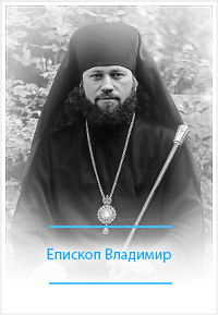 Фотографии епископа Владимира 